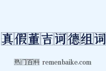 真假董吉诃德组词是什么意思的图片